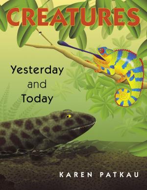 Book cover of Creatures Yesterday and Today