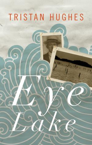 Cover of the book Eye Lake by Andy McGuire