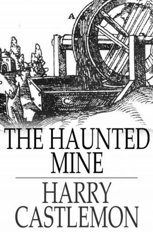 Book cover of The Haunted Mine