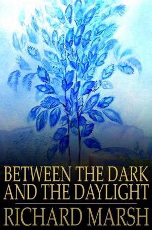 Cover of the book Between the Dark and the Daylight by Algernon Blackwood