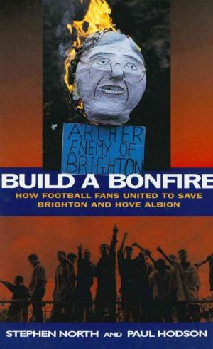 Book cover of Build a Bonfire