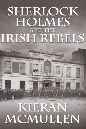 Cover of the book Sherlock Holmes and the Irish Rebels by Matt Edge