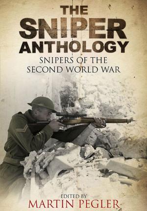 Cover of the book Sniper Anthology by Richard Marmo