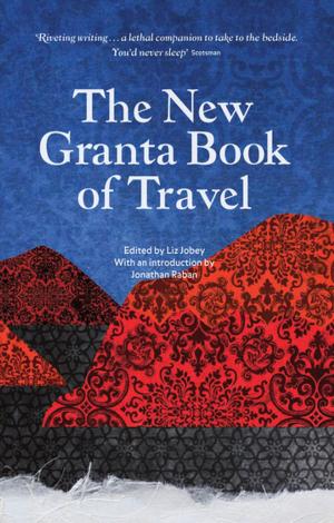 Cover of The New Granta Book of Travel