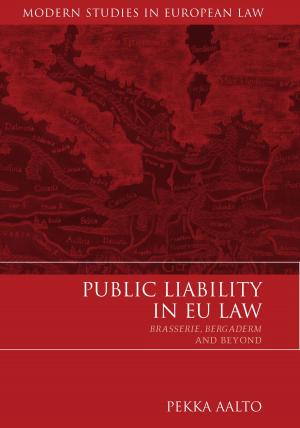 Cover of the book Public Liability in EU Law by Daniel Silvermintz