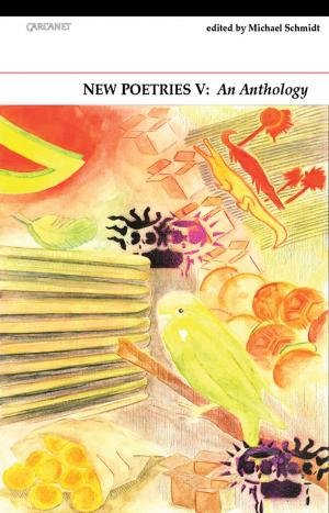 Cover of the book New Poetries V by Rod Mengham