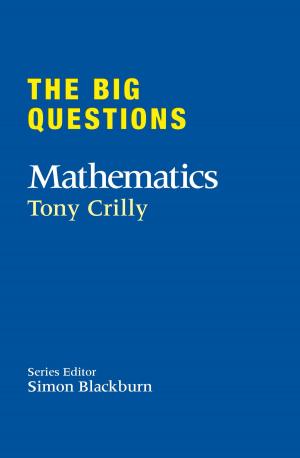 Cover of the book The Big Questions: Mathematics by Anders Roslund, Börge Hellström