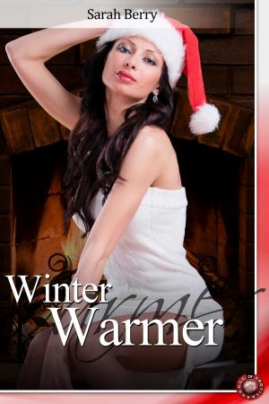 Cover of the book Winter Warmer by Kieren Hawken