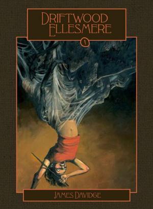 Cover of the book Driftwood Ellesmere by Eleanor Nesbitt, Gopinder Kaur