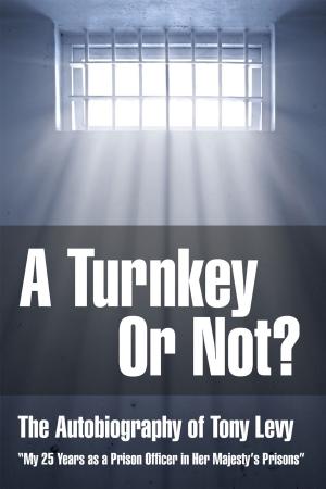 Cover of the book A Turnkey or Not by Sylvia Lowry