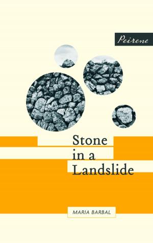 Cover of the book Stone in a Landslide by Dalia Grinkevičiūtė