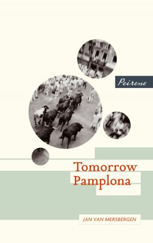 Cover of the book Tomorrow Pamplona by Birgit Vanderbeke