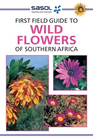 Cover of the book First Field Guide to Wild Flowers of Southern Africa by Herbert Otto
