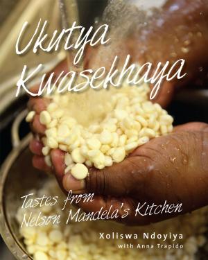 Cover of the book Ukutya Kwasekhaya by Charles Nqakula