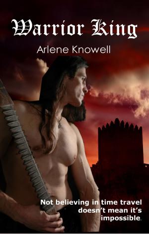 Cover of the book Warrior King by K. M. Tolan