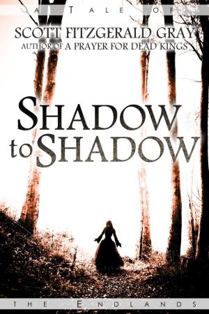 Cover of the book Shadow to Shadow by Mitchell Wylie