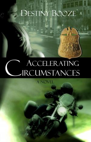 Cover of the book Accelerating Circumstances by Stephen O'Sullivan