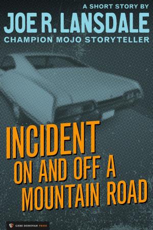 Cover of the book Incident On and Off a Mountain Road by Linda Temple