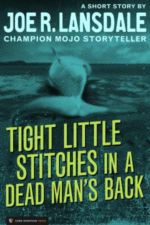 Cover of the book Tight Little Stitches in a Dead Man's Back by Warren Murphy, Richard Sapir