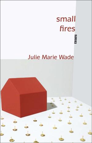 Cover of the book Small Fires by Randa Jarrar