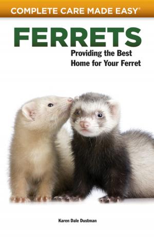 Cover of the book Ferrets by Philippe De Vosjoil, Terri M Sommella, Robert Mailloux, Susan Donoghue, Roger J. Klingenberg