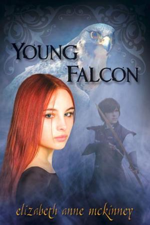Cover of the book Young Falcon by Jane M. Johnson, Kathleen Richardson-Mauro