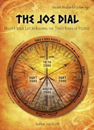 bigCover of the book The Joe Dial by 