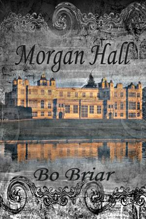 bigCover of the book Morgan Hall by 
