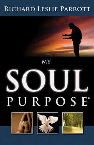 Cover of the book My Soul Purpose by Chris Park