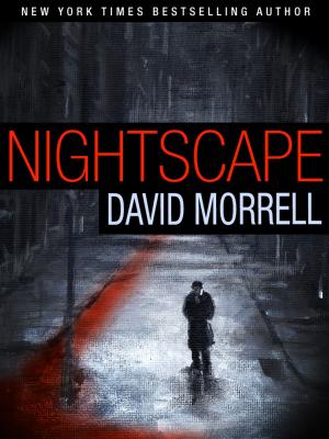 Book cover of NightScape