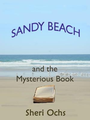 Book cover of Sandy Beach and the Mysterious Book