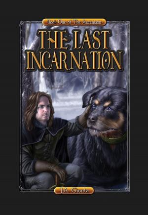 Cover of the book The Last Incarnation by Sharon Skinner