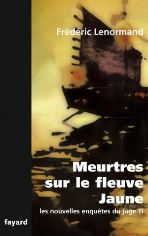 Cover of the book Meurtres sur le fleuve jaune by Thierry Lentz