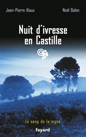 Cover of the book Nuit d'ivresse en Castille by Maryse Rivière