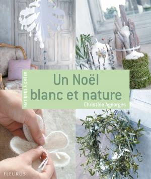 Cover of the book Un Noël blanc et nature by Hildegarde Deuzo