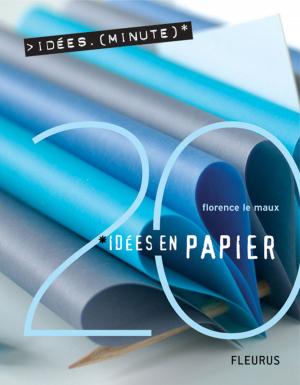 Cover of the book 20 Idées en papier by Sylvie Michelet, Nathalie Bélineau, Émilie Beaumont