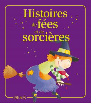 Cover of the book Histoires de fées et de sorcières by Hélène Grimault, Émilie Beaumont