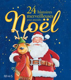 Cover of the book 24 histoires merveilleuses pour attendre Noël by Ghislaine Biondi, Delphine Bolin