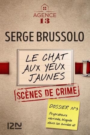 Book cover of Les dossiers de l'Agence 13 : Le chat aux yeux jaunes