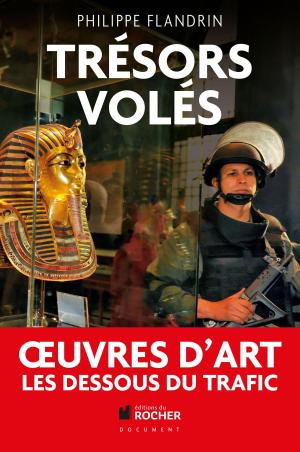 Cover of the book Trésors volés by Frank Andriat