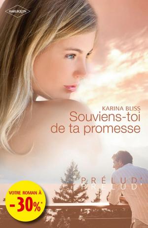 Cover of the book Souviens-toi de ta promesse by Lynda Aicher