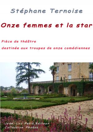 Cover of the book Onze femmes et la star by Stéphane Ternoise