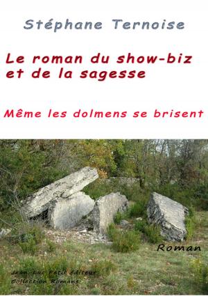 Cover of the book Le roman du show-biz et de la sagesse by Stéphane Ternoise