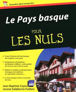 Book cover of Pays Basque pour les Nuls (Le)