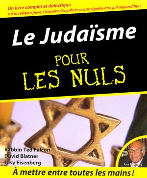 Book cover of Le Judaïsme Pour les Nuls
