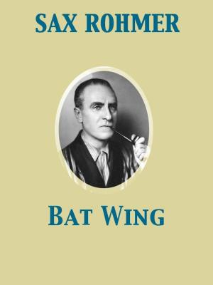 Cover of the book Bat Wing by Oliver Optic