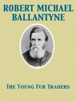 Cover of the book The Young Fur Traders by Anna Katharine Green