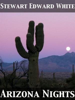 Book cover of Arizona Nights