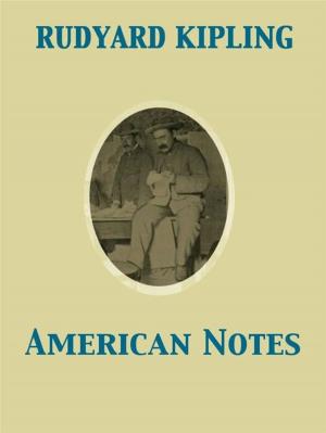 Cover of the book American Notes by Stewart Edward White