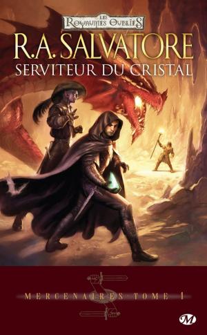 Book cover of Serviteur du cristal: Mercenaires, T1